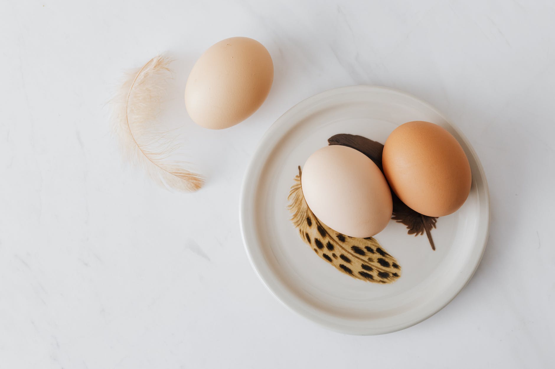 eggs and feathers